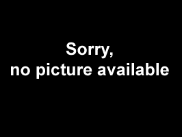 IC2800-1608: CONTACTOR, GENERAL ELECTRIC