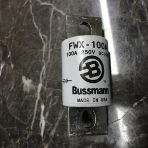 FWX-100A: N FUSE, BUSSMAN